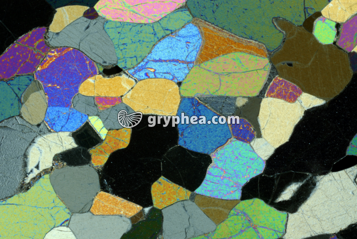 Olivine LPA x10 - gryphea.com